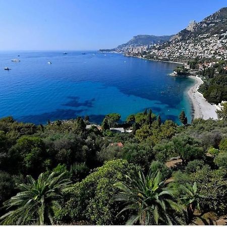 Grand Bleu, Appartamento Vista Mare E Monaco 罗克布吕讷-卡普马丹 外观 照片